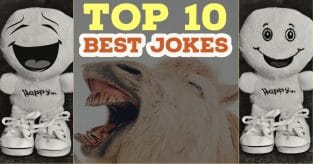 Top 10 best jokes | Jokes and Riddles